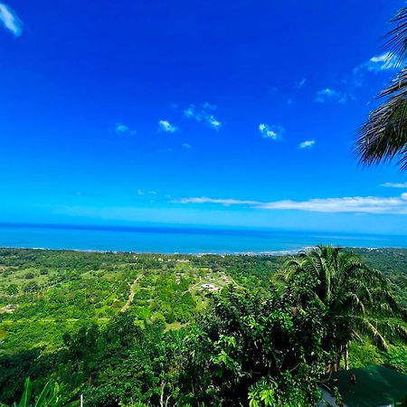 ホテル Puerto Alto ブリタカ エクステリア 写真