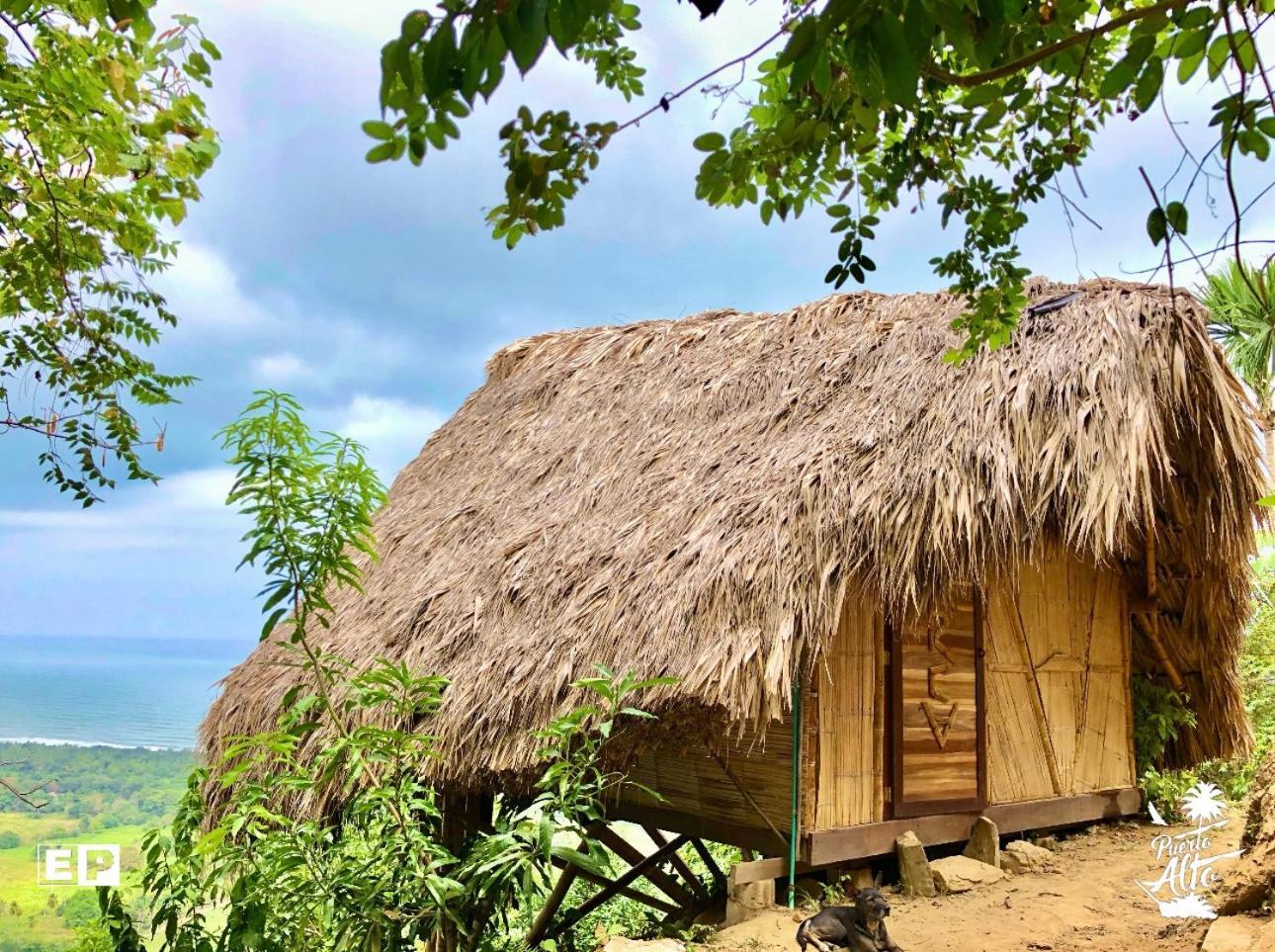ホテル Puerto Alto ブリタカ エクステリア 写真