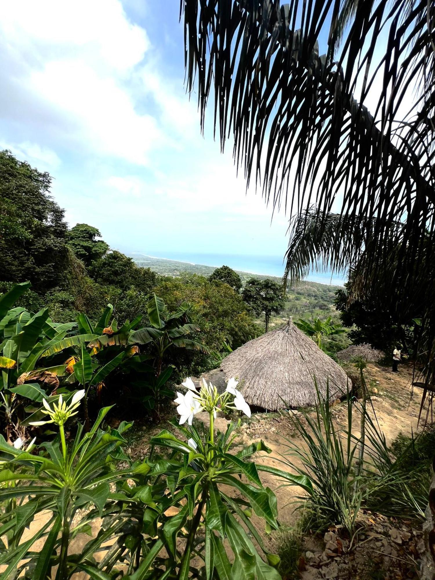ホテル Puerto Alto ブリタカ エクステリア 写真